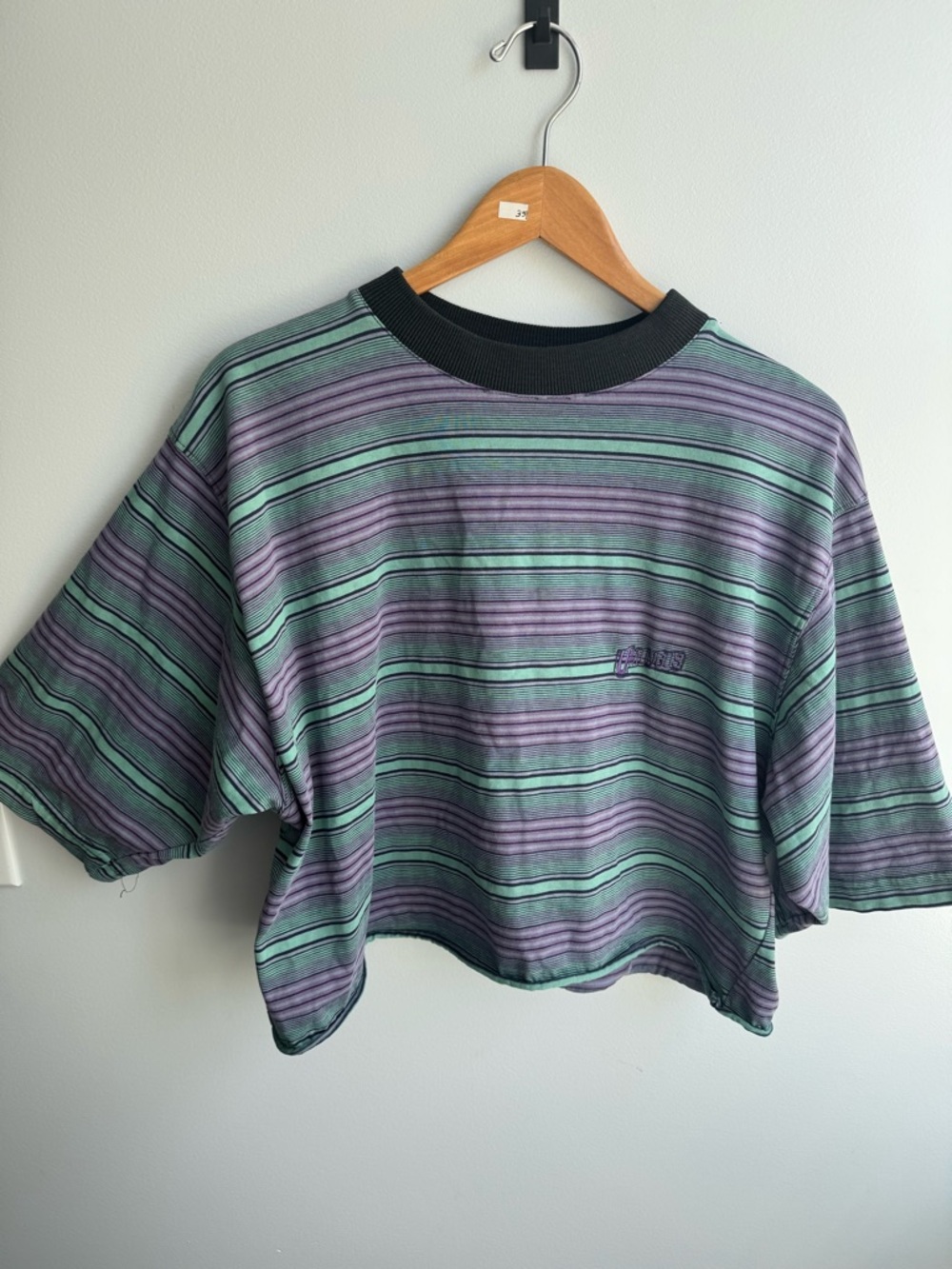 Vintage 80s Introspect Umungus Striped Cropped Tee in Purple and Green